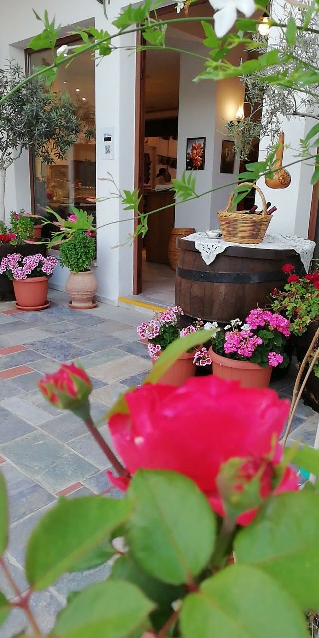 Geraniums and roses at the taverna entrance